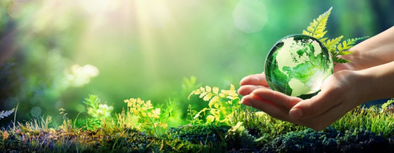hidric_ecologia_RDI_02